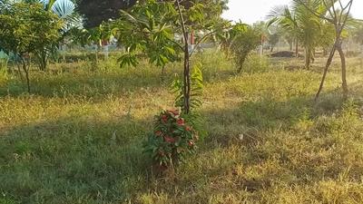 Image of 1200 Sq.ft 1 BHK Farm House for sale in Madurantakam, Chennai for Rs. 4000000
