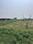 VIEW HOMESS Main Image 1