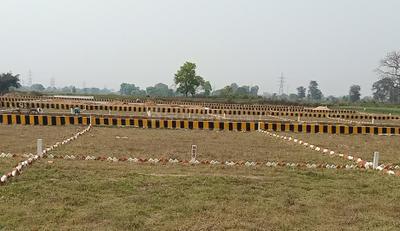 Bihta Plot View 3