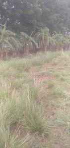 Image of 1440 Sq.ft Residential Plot / Land for sale in Bhasa Eco Village, Joka, Kolkata for Rs. 400000
