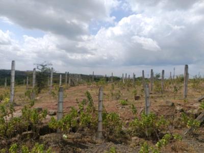 Image of 1210 Sq.ft Residential Plot / Land for sale in Lohegaon, Pune for Rs. 3612000