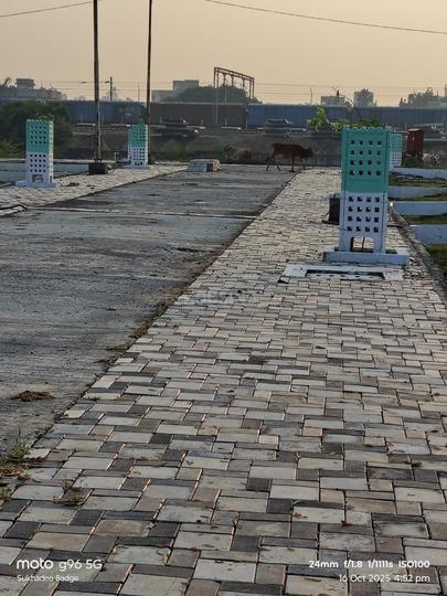 Bhokara Main Image 1