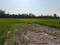 Sherpur Main Image 1