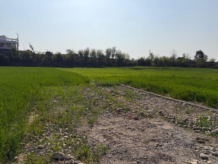 Sherpur Main Image 1