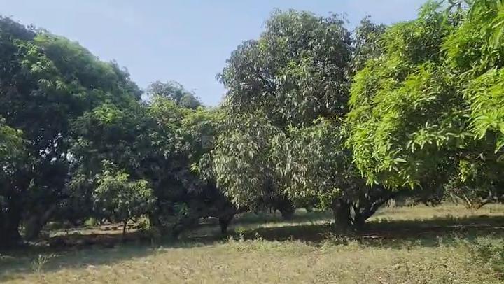 Ananthapuram Main Image 1