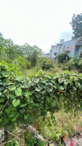 Image of 1350 Sq.ft Residential Plot / Land for sale in Pichandarkovil, Tiruchirappalli for Rs. 4400000