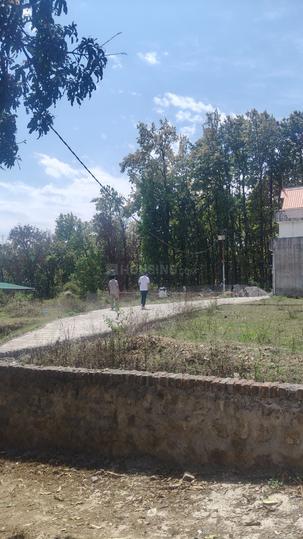 Dhaulas Main Image 1