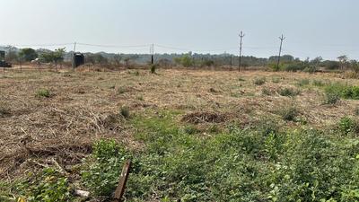 Agricultural Land