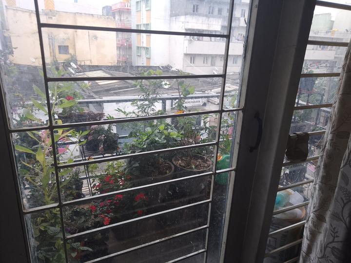 Balcony Image of Shilpa's PG Accomodation in Hongasandra, Bengaluru