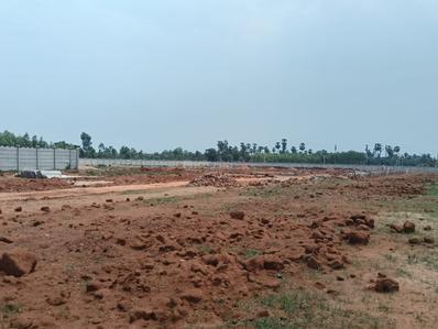 Thagarapuvalasa Plot View 1