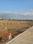 Wagholi Main Image 1