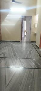Hall Image of 1300 Sq.ft 2 BHK Apartment / Flat for rent in Adyar Chennai for Rs. 50000