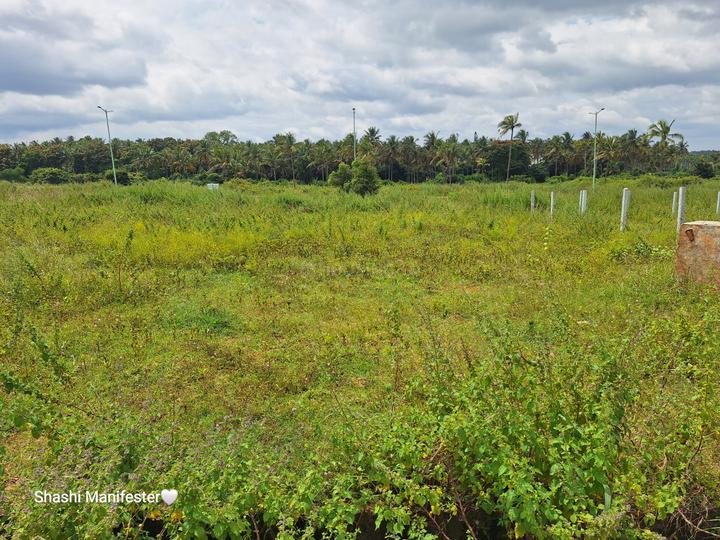 Nadaprabhu Kempegowda Layout Main Image 1