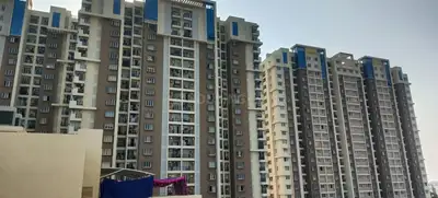 3 BHK Flat