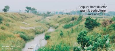Image of 19134 Sq.ft Residential Plot / Land for sale in Prantik, Bolpur-Santiniketan for Rs. 1400000