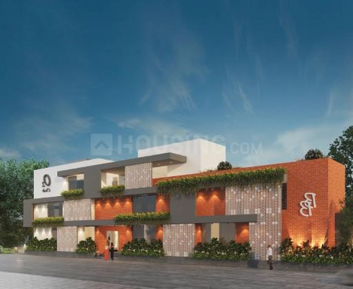 Oxyrich Main Image 1