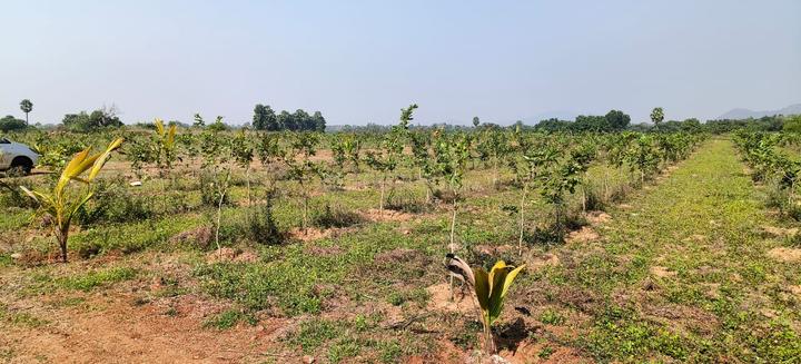 Chandan valley Main Image 1