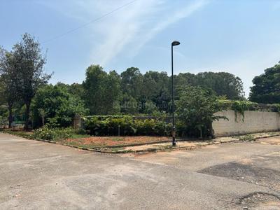 Residential Plot