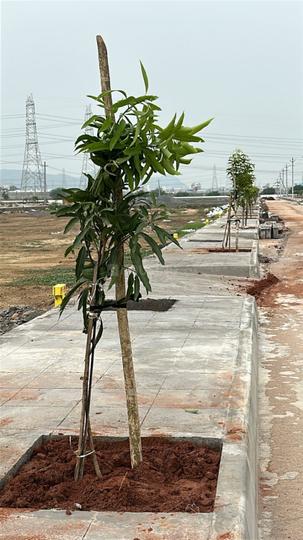 Sri city sowbhagya Main Image 1