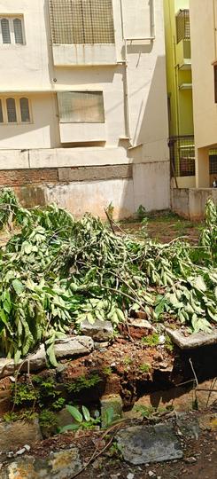 Stage 2, BTM Layout Main Image 1