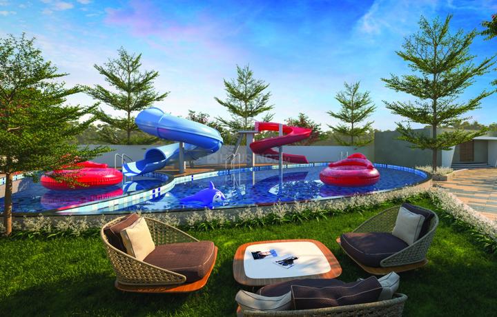 Nebullus Marigold Main Image 1