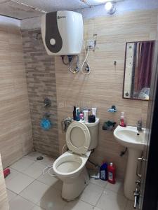 Bathroom Image of 950 Sq.ft 2 BHK Apartment / Flat for rent in Amrapali Zodiac, Sector 120 Noida for Rs. 25000