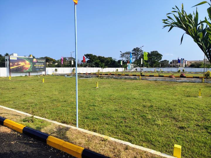taasa Main Image 1