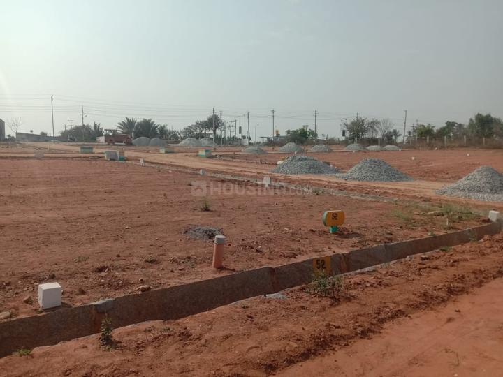 Sulivara Main Image 1