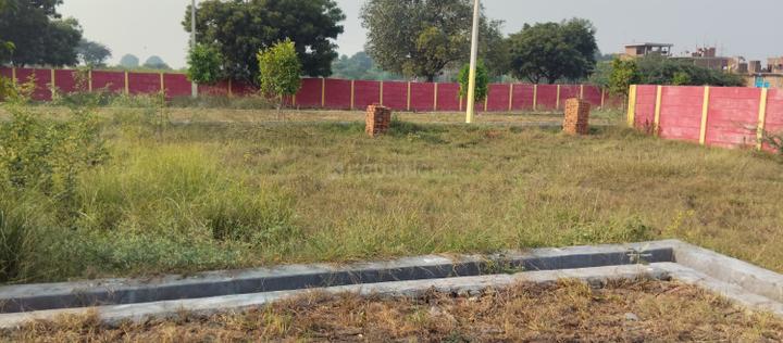 Jarauli Main Image 1