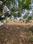 Sri Balaji Krupa Layout Main Image 1