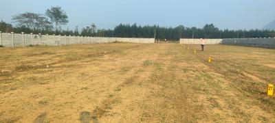 Gollalapalem duvvada Plot View 2