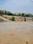 Rangwasa Main Image 1