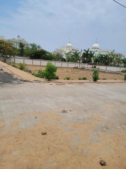 Rangwasa Main Image 1