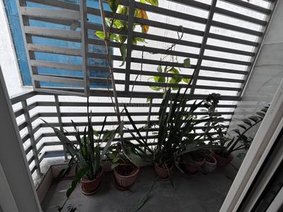 Balcony Image of 1700 Sq.ft 3 BHK Apartment / Flat for sale in SNR Mayfair, HSR Layout Bengaluru for Rs. 26000000