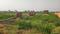 Bihta Main Image 1