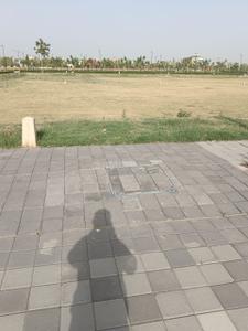 M3M City Of Dreams Plot View 2