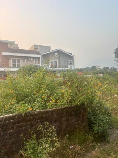 Sinaul malsi Main Image 1