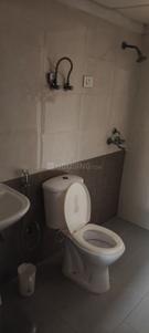 Bathroom Image of 1149 Sq.ft 2 BHK Apartment / Flat for sale in Gardenia Golf City, Sector 75 Noida for Rs. 7600000