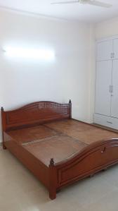 Bedroom Image of 1380 Sq.ft 3 BHK Apartment / Flat for rent in Amrapali Sapphire, Sector 45 Noida for Rs. 35000
