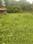 Kuttumukku Main Image 1