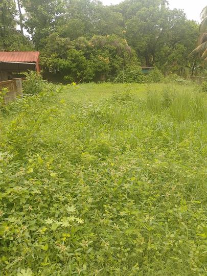 Kuttumukku Main Image 1