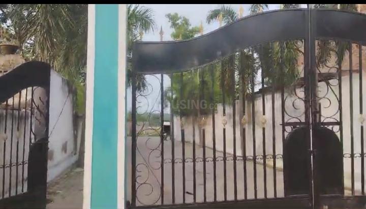 Green City society  Main Image 1