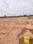Shadnagar Main Image 1