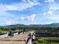 Golden Palm Phase 3 Plot View 2