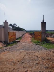 Agricultural Land