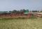 Sarnath Main Image 1