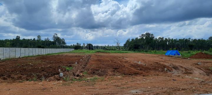 GRP green city Plot View 1