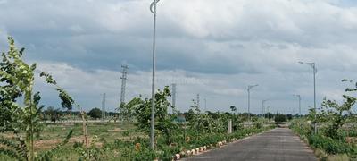 Jadcherla Plot View 1