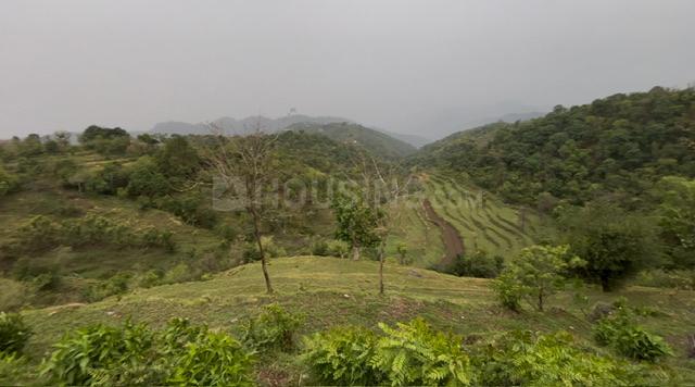 Morni Main Image 1