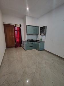 Kitchen Image of 1050 Sq.ft 2 BHK Apartment / Flat for rent in Defence Colony Ambala for Rs. 9000